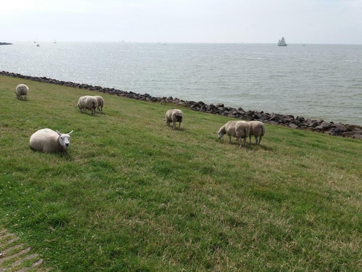 Heerlijk Huis Aan Het Ijsselmeer スタフォーレン エクステリア 写真