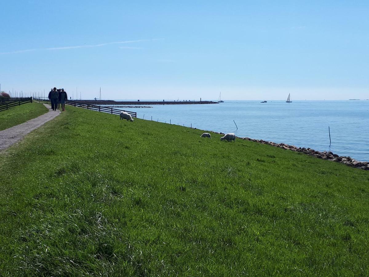 Heerlijk Huis Aan Het Ijsselmeer スタフォーレン エクステリア 写真