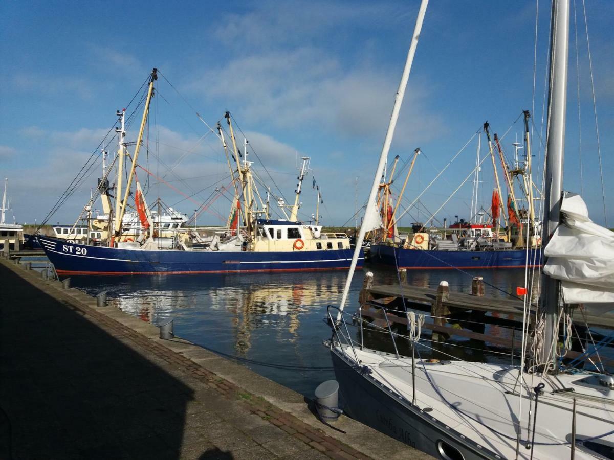 Heerlijk Huis Aan Het Ijsselmeer スタフォーレン エクステリア 写真
